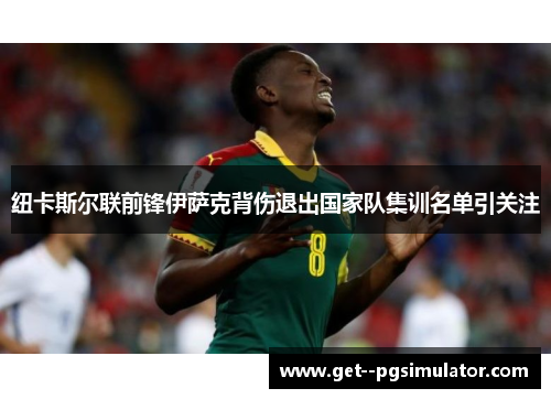 纽卡斯尔联前锋伊萨克背伤退出国家队集训名单引关注